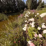 Oasis By The Pond At Sniardwy *