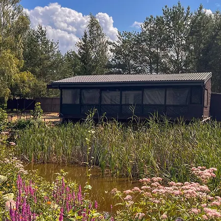 Oasis By The Pond At Sniardwy Szeroki Ostrow