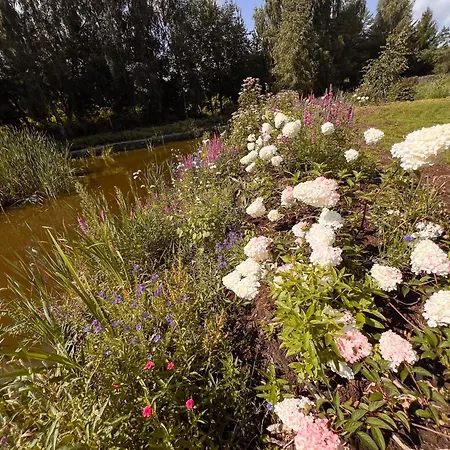 Oasis By The Pond At Sniardwy *